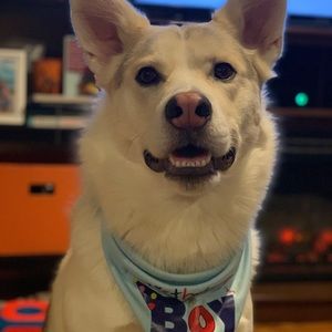 Meet your Posher, Nicholas